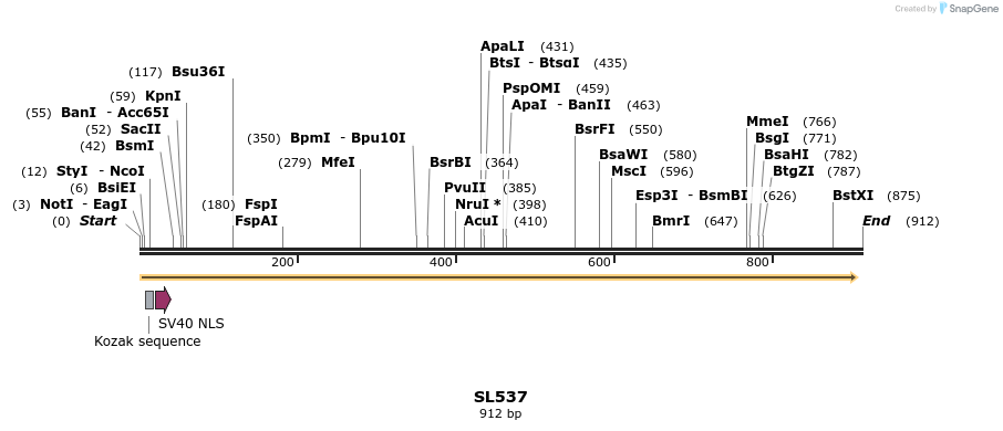 75976_map