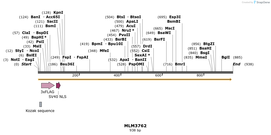 75979_map