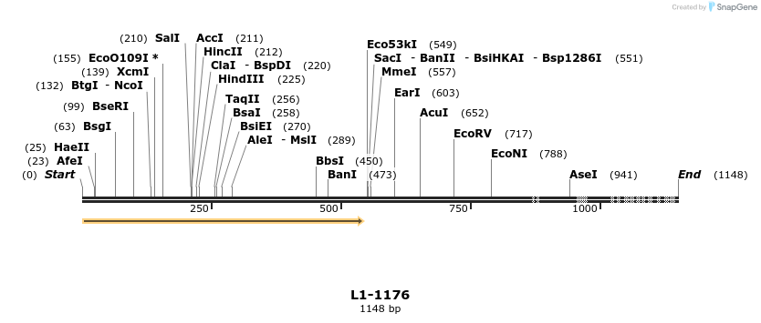 7598_map