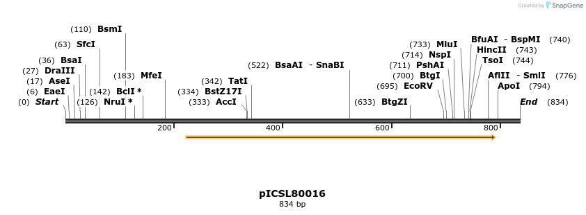 75980_map