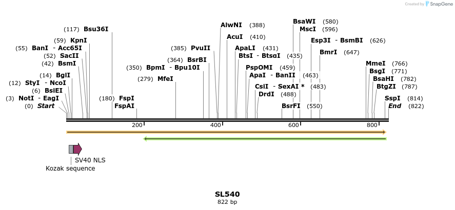 75981_map