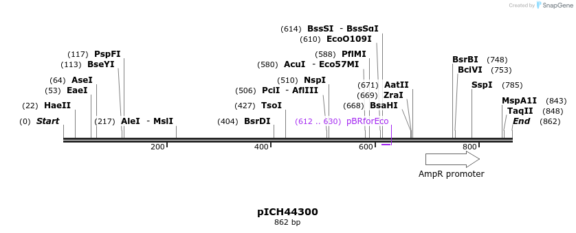 75982_map