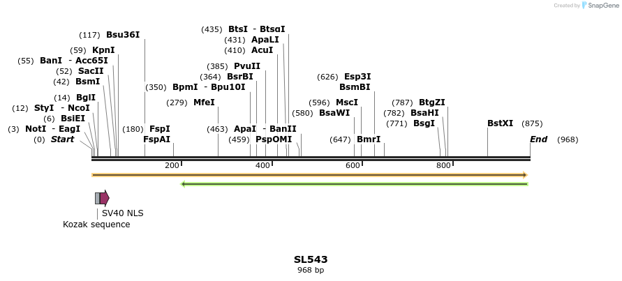 75984_map