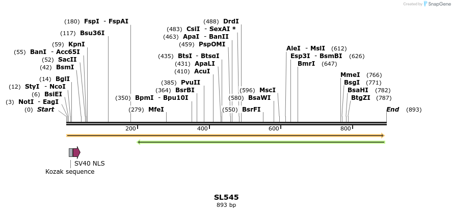 75985_map