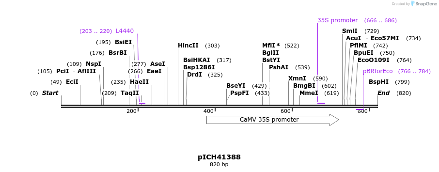 75987_map