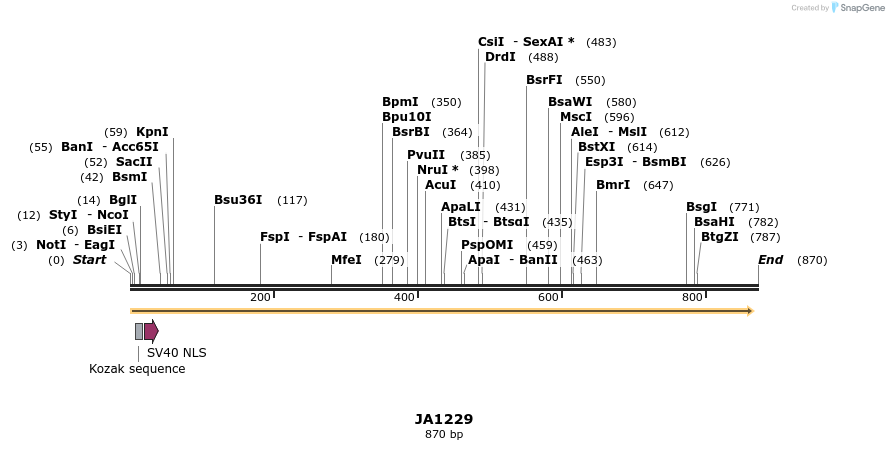 75989_map
