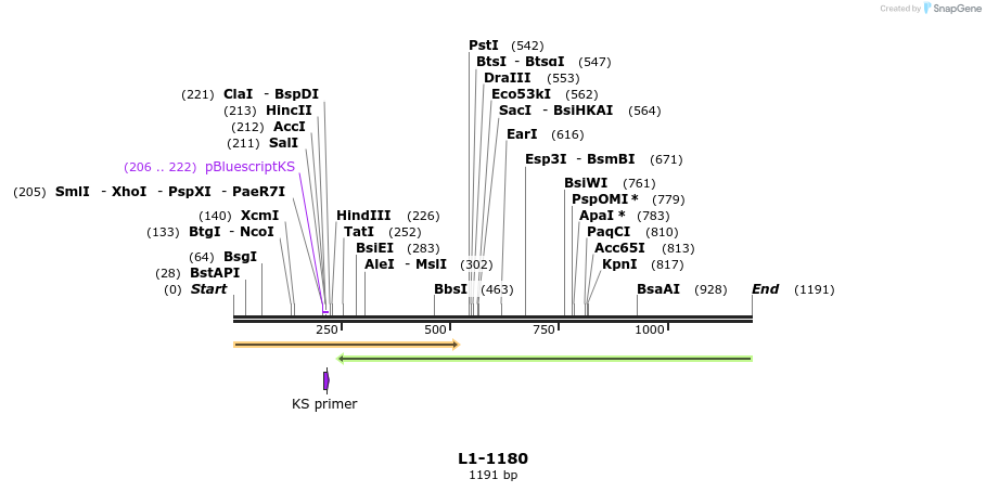 7599_map