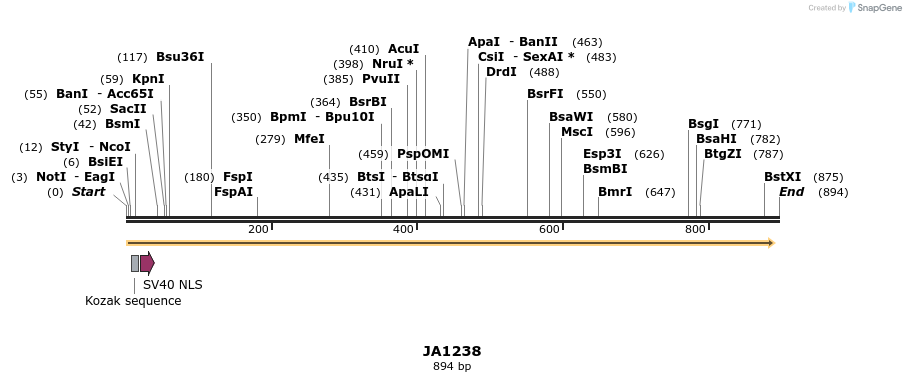 75993_map