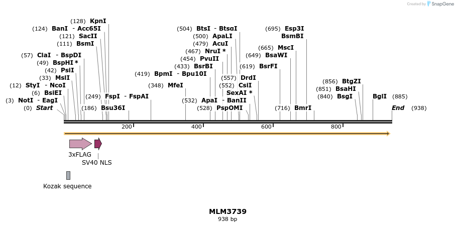 75996_map