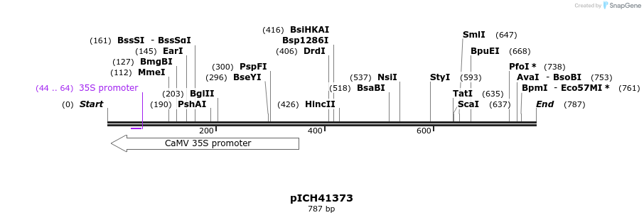 75999_map