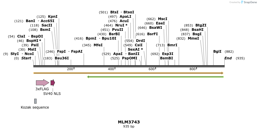 76001_map