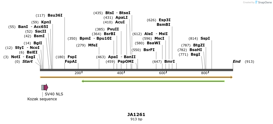 76002_map