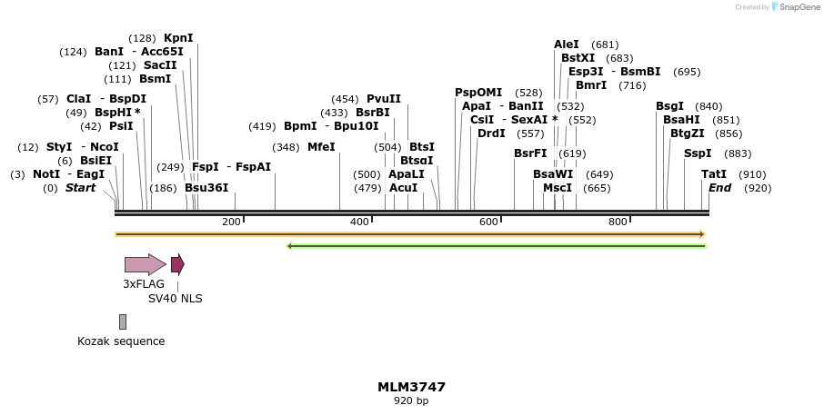 76005_map