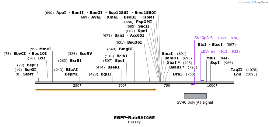 76014_map