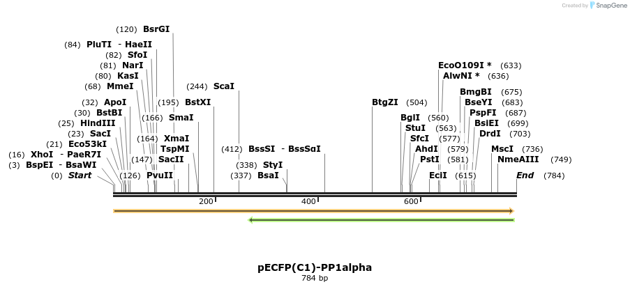 76016_map