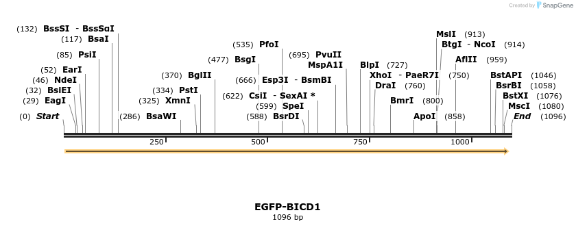 76017_map