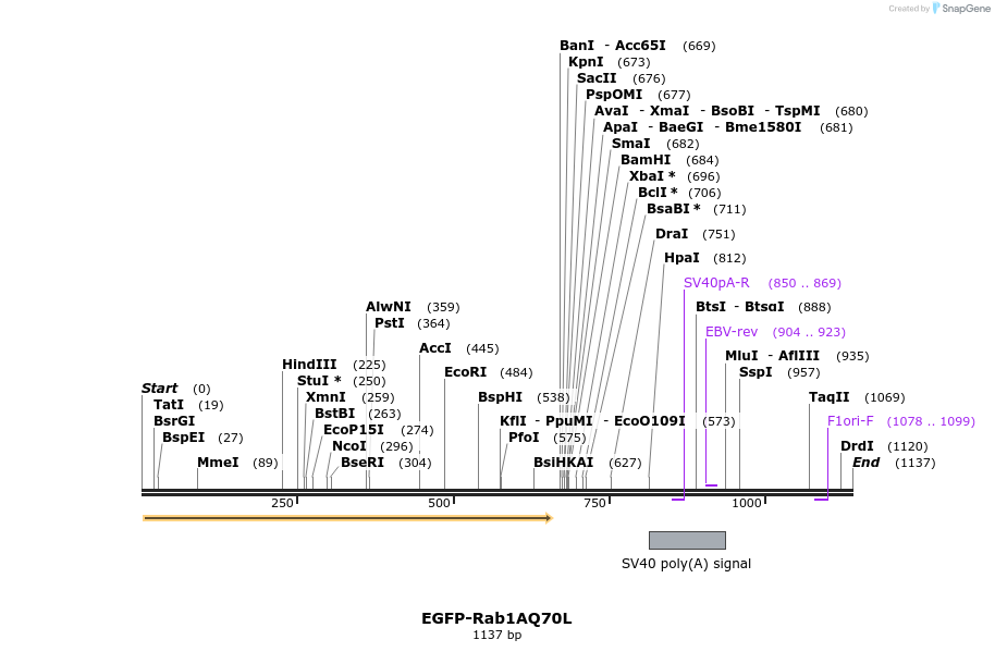 76019_map