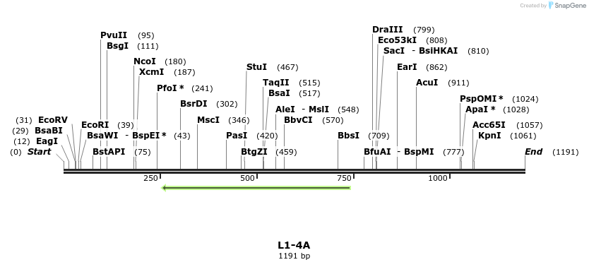 7602_map