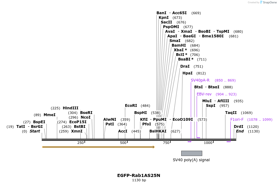 76021_map