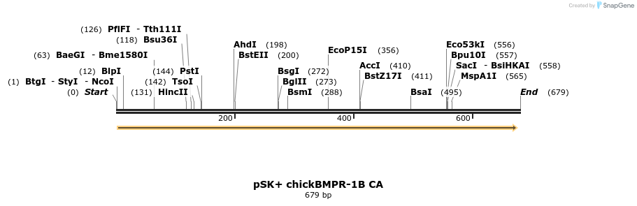 76022_map