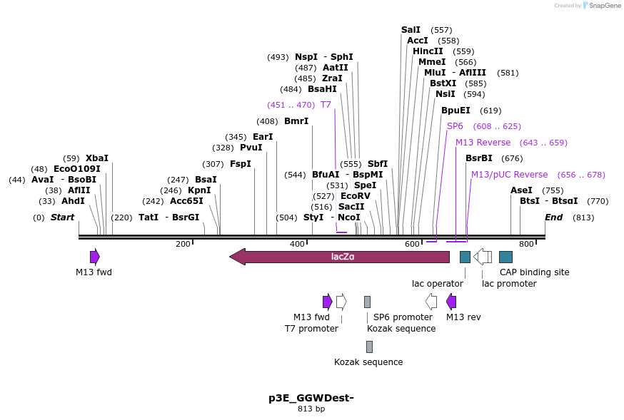 76023_map