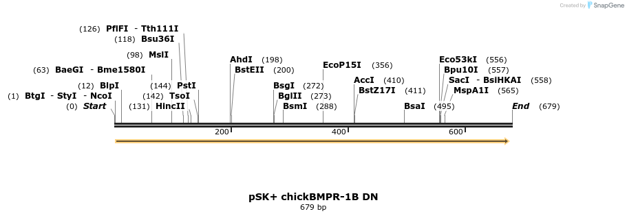 76024_map