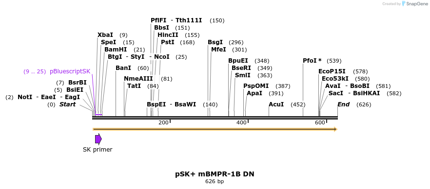 76028_map