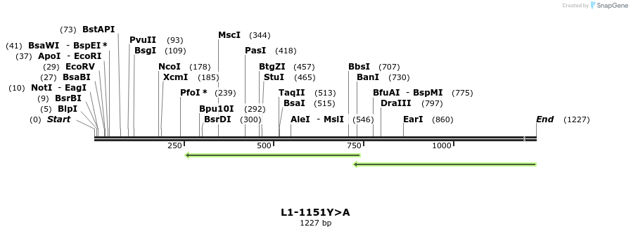 7603_map