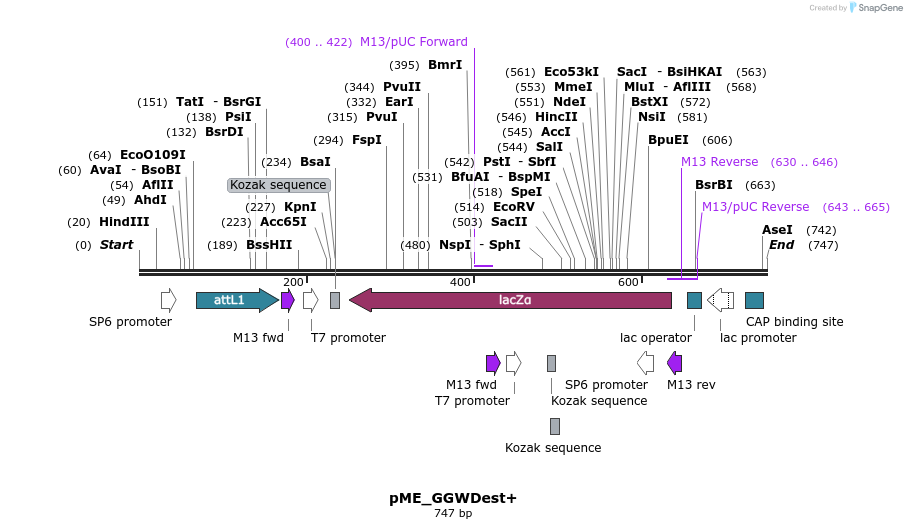 76031_map