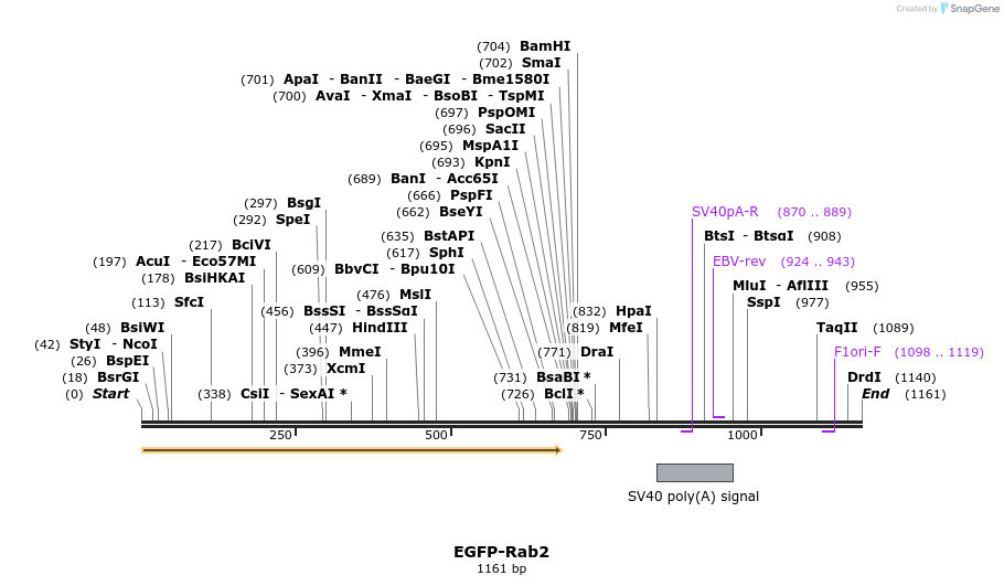 76032_map