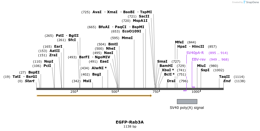 76034_map