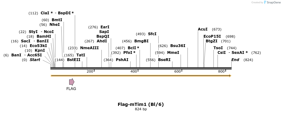 76035_map