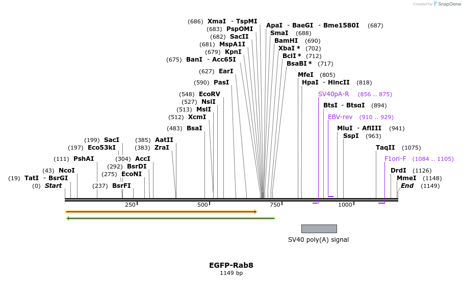 76036_map