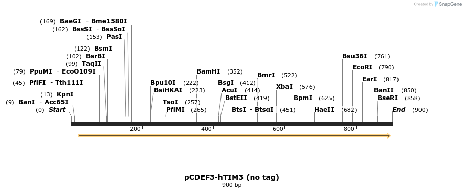 76037_map