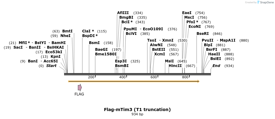 76038_map