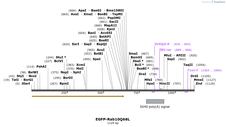 76039_map