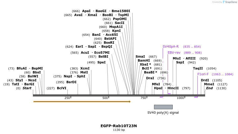 76041_map