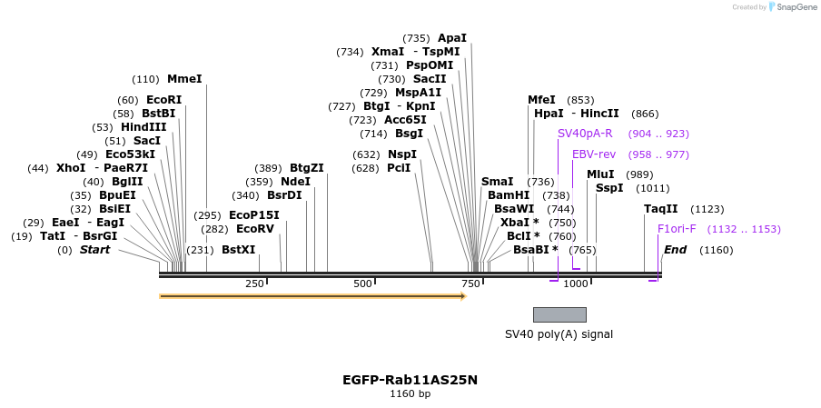 76046_map