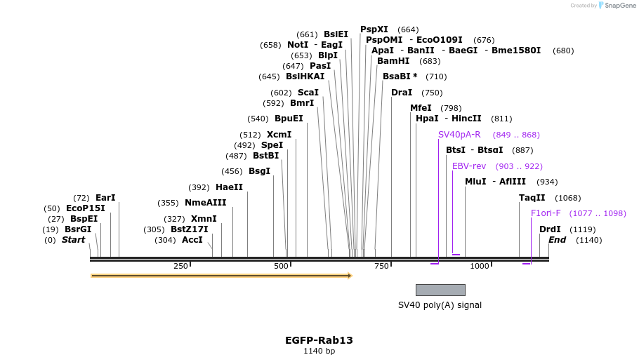76047_map