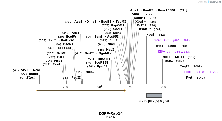 76048_map
