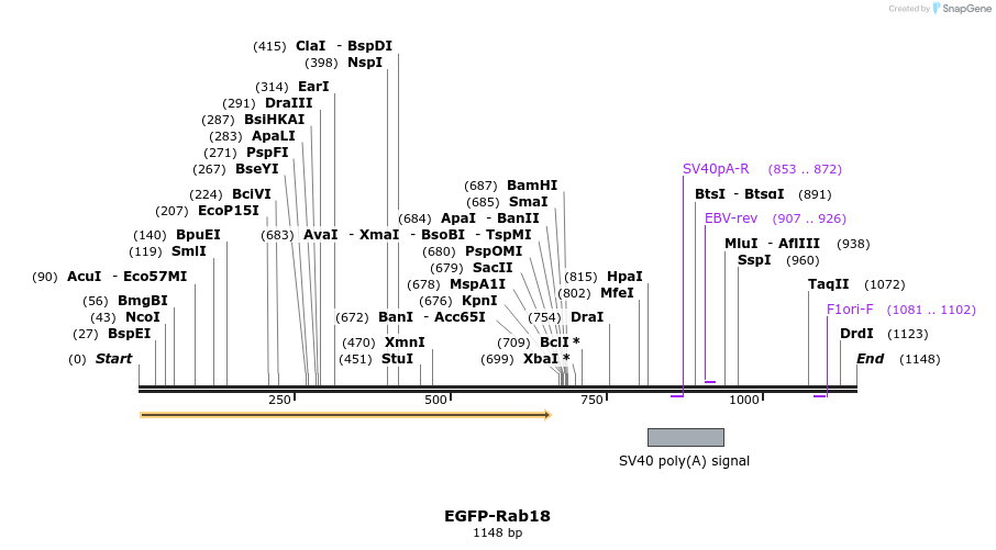 76049_map
