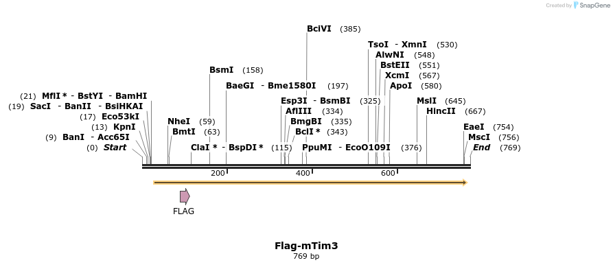 76052_map