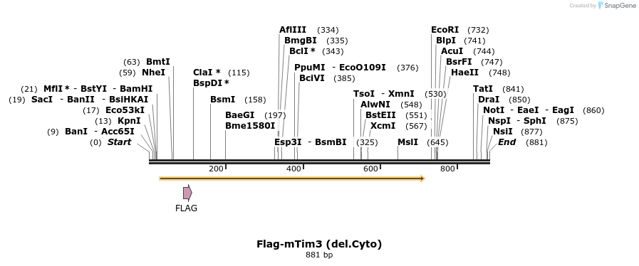 76053_map