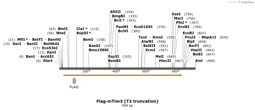 76054_map