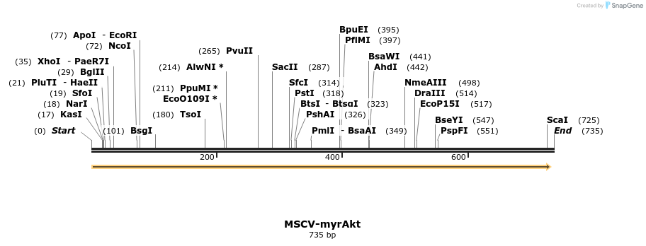 76056_map