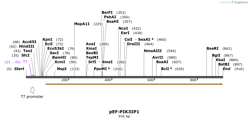 76057_map