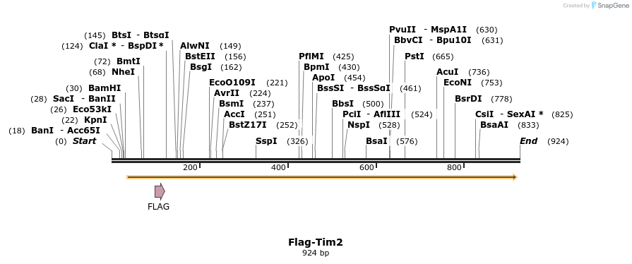 76058_map