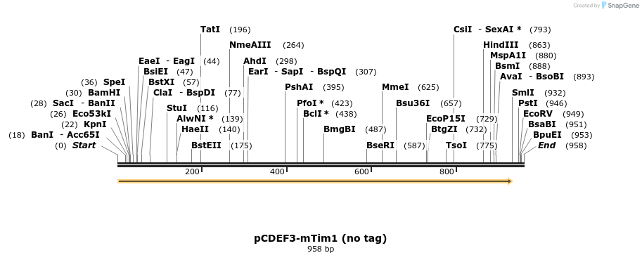 76059_map