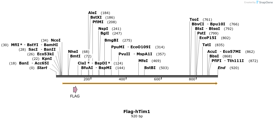 76060_map