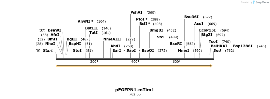 76061_map